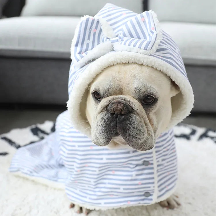 Pawsitively Toasty Snuggle Suite