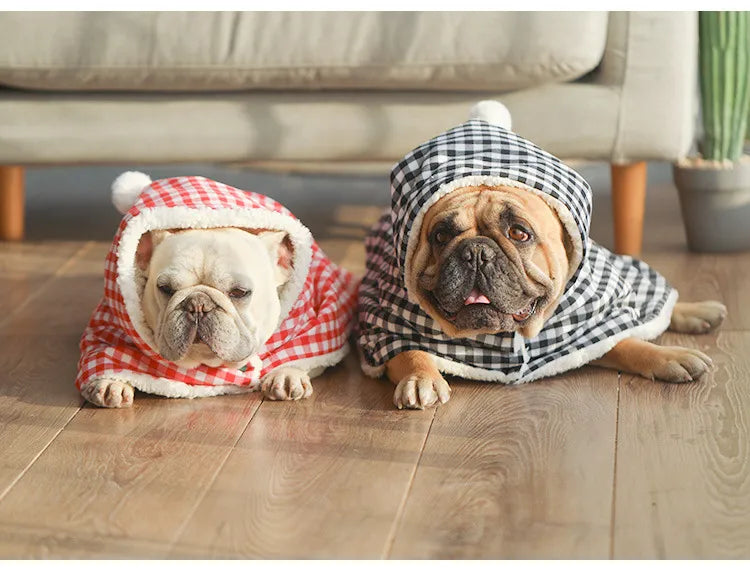 Pawsitively Toasty Snuggle Suite