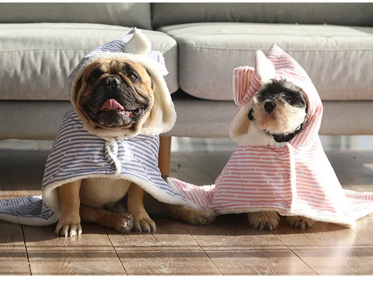 Pawsitively Toasty Snuggle Suite