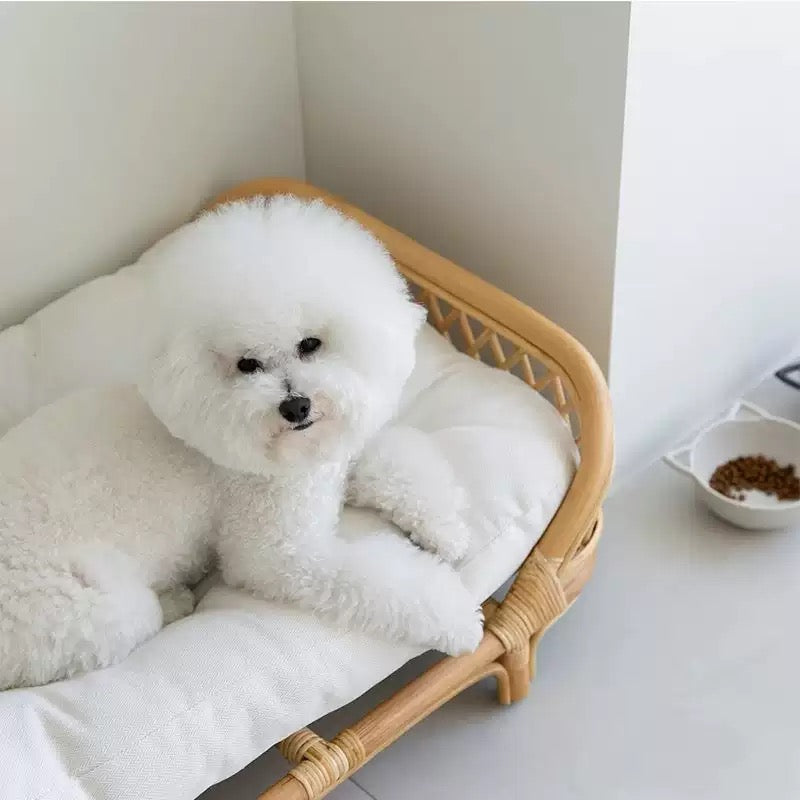 Rattan Bed for Dogs and Cats