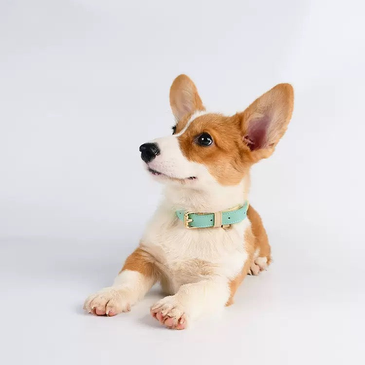 Pandora Leather Collar (4 Colors)