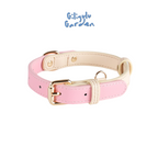 Pandora Leather Collar (4 Colors)
